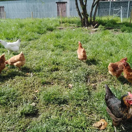 Vic Va La Vie 度假居